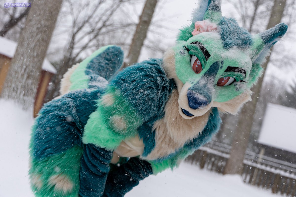 Signal 👻 tweet media