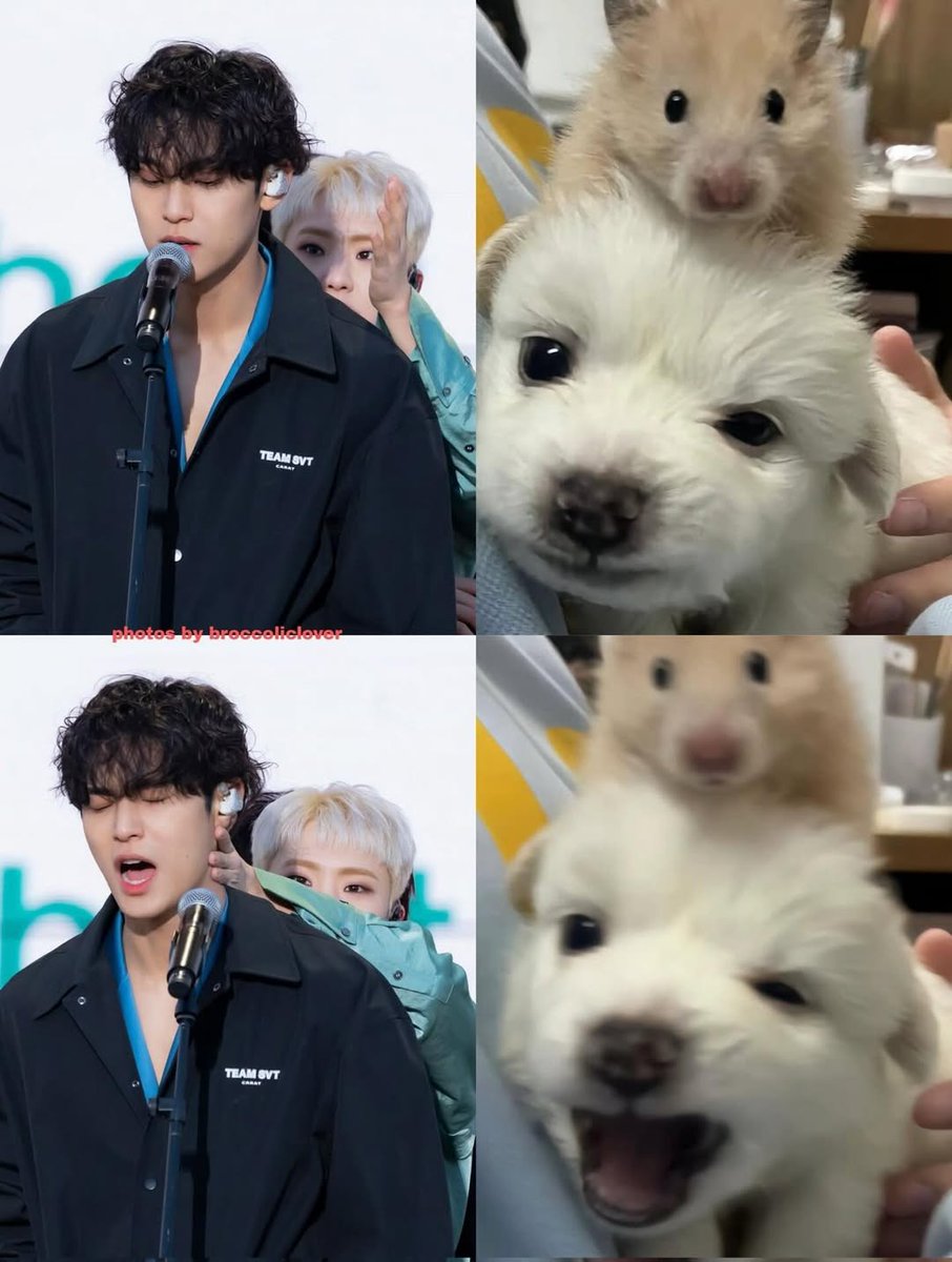 cheolhanglazer's tweet photo. OMG IT'S LITERALLY THEM https://t.co/vArfzldSaq