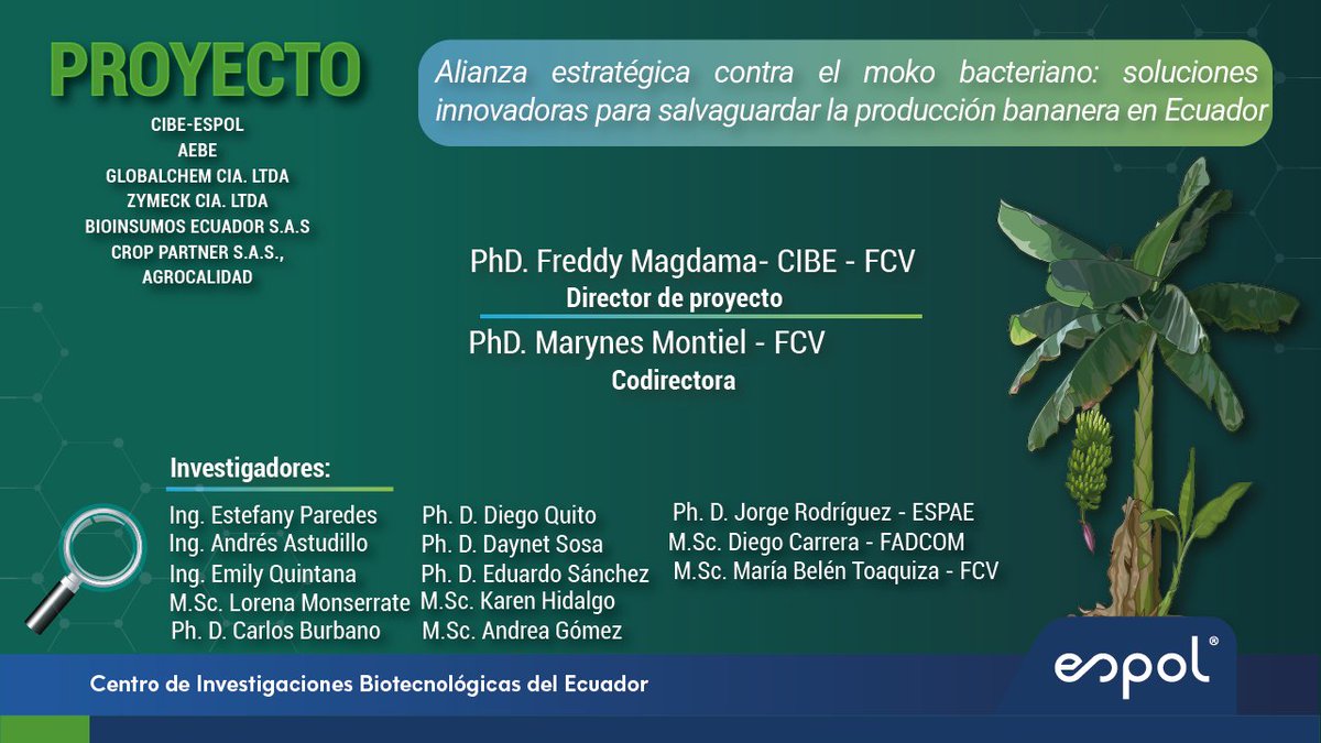 CIBE_ESPOL tweet media