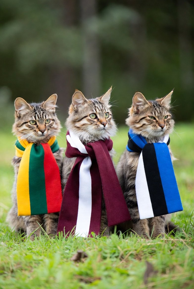 🇱🇹Paulius Kirstukas tweet media