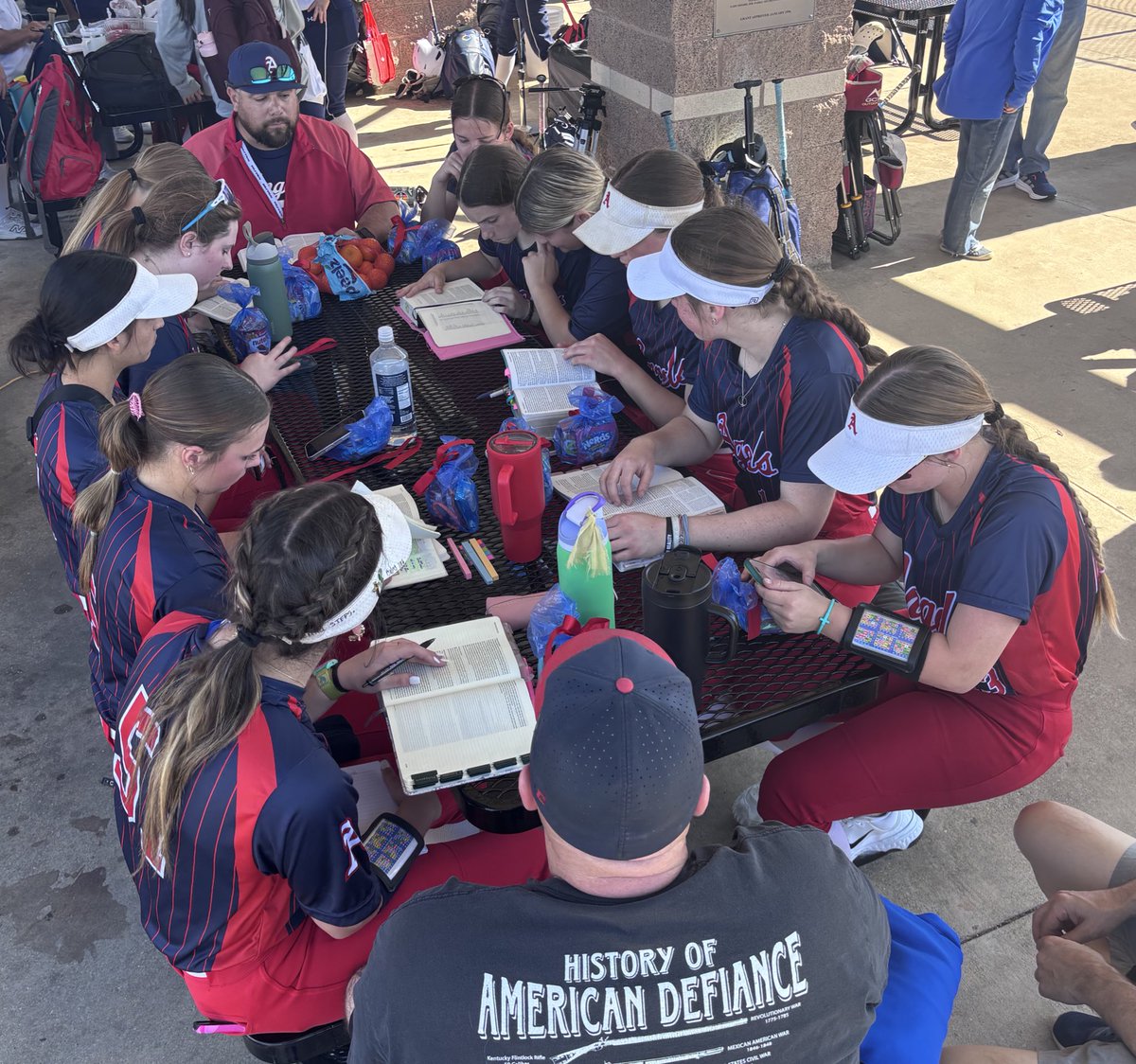 HSAA Softball tweet media