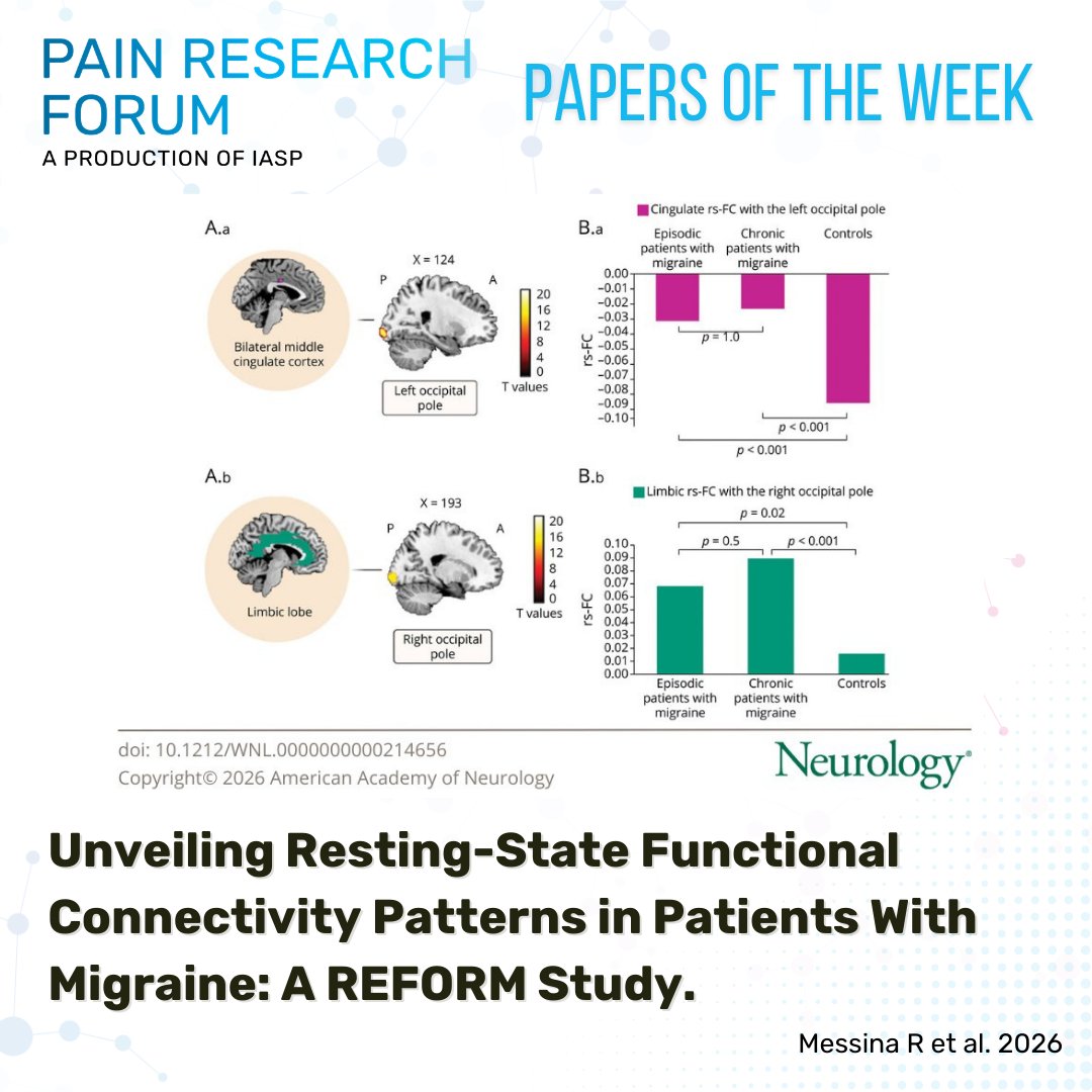 Pain Research Forum tweet media