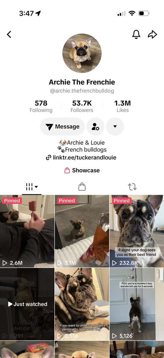 Colby Flood tweet media