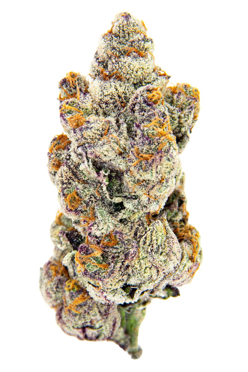 Oakfruitland tweet media