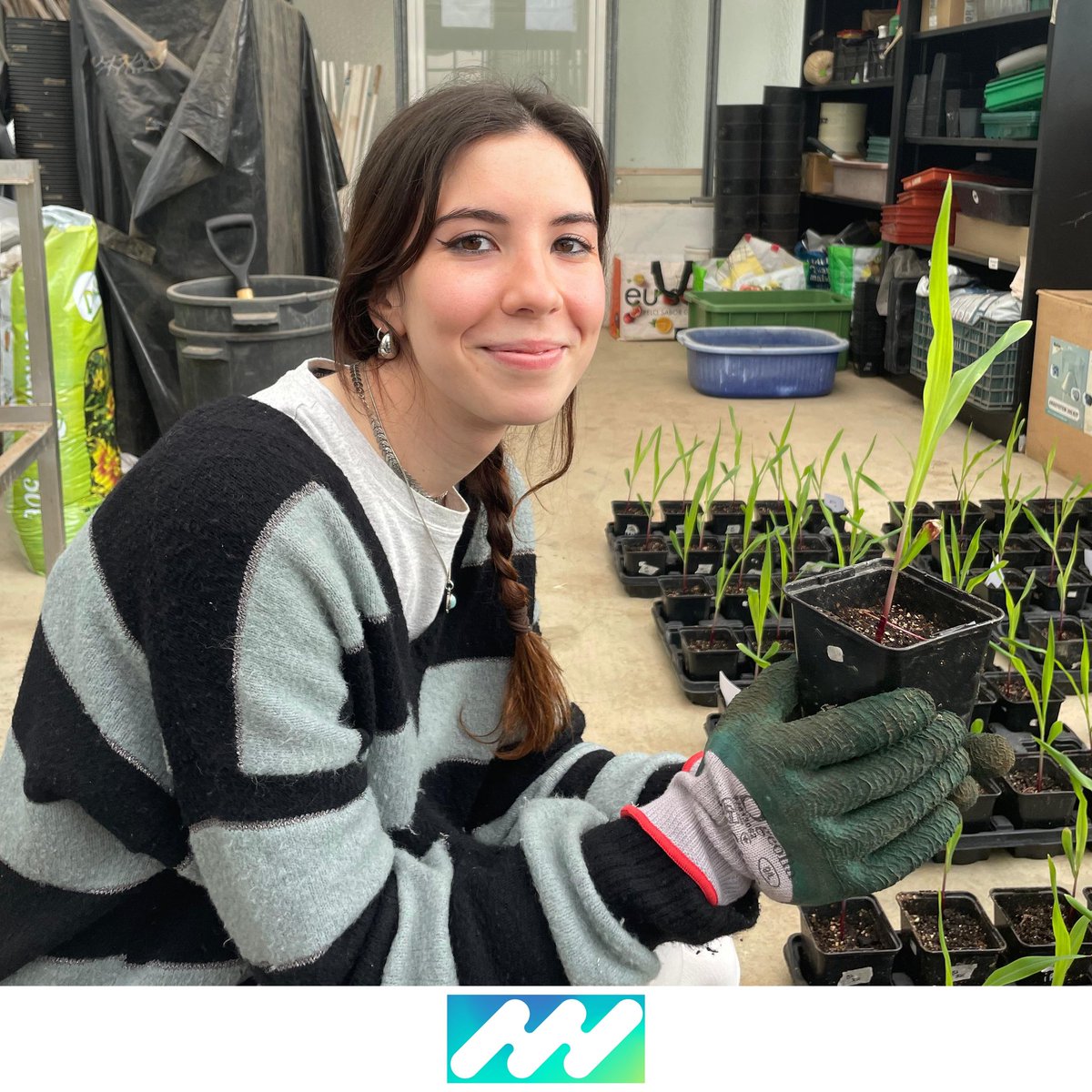 iPlantMicro Lab tweet media