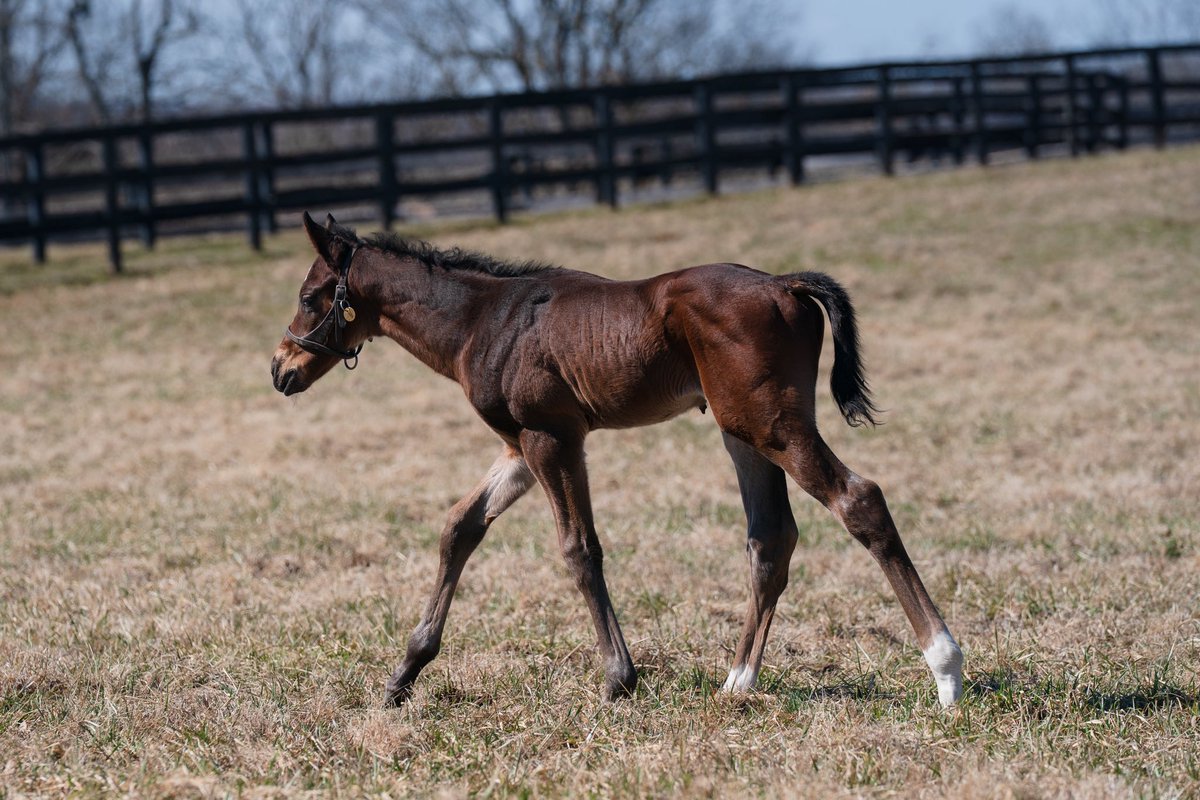 Tom Ryan tweet media