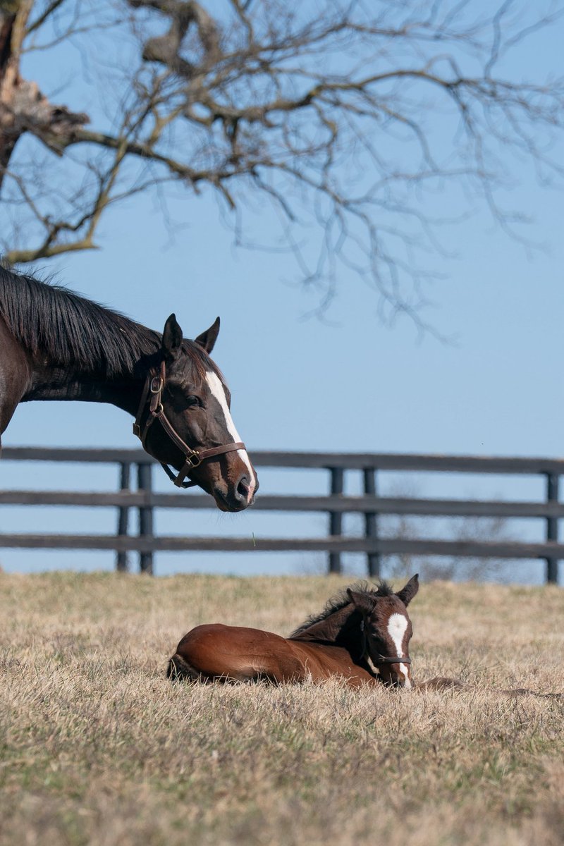 Tom Ryan tweet media