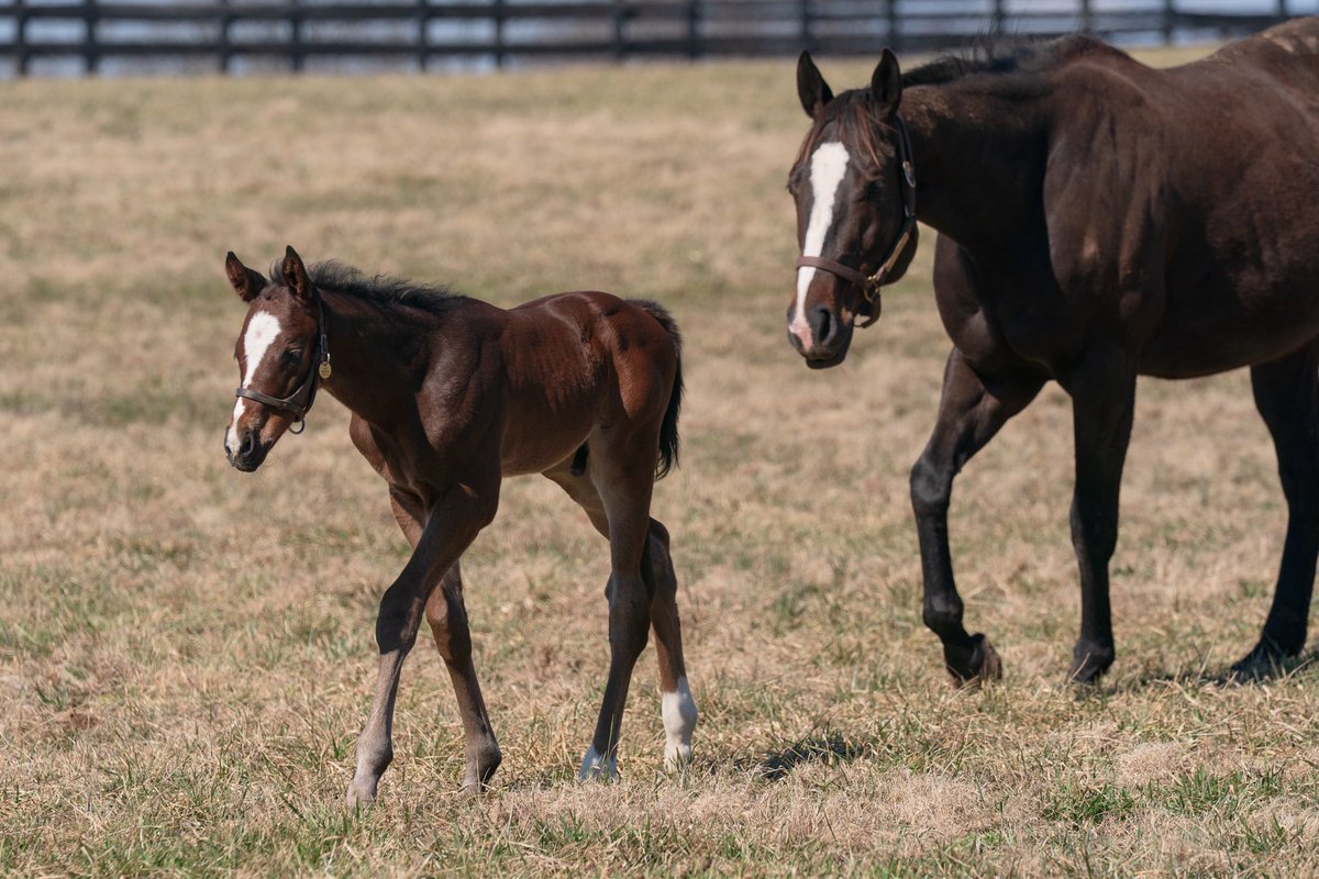 Tom Ryan tweet media