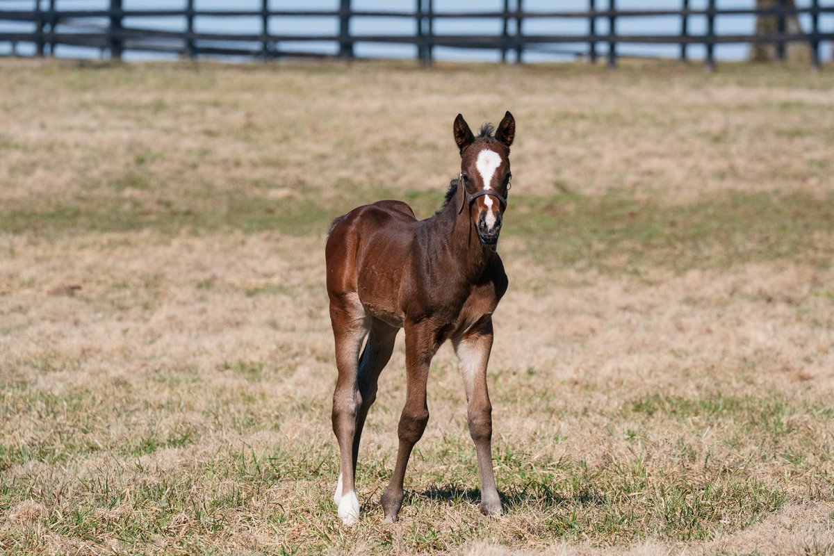 Tom Ryan tweet media