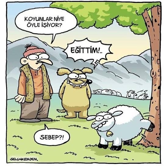 criptoich's tweet photo. Eğitim önemli  😂 https://t.co/Gp8b4rm71T