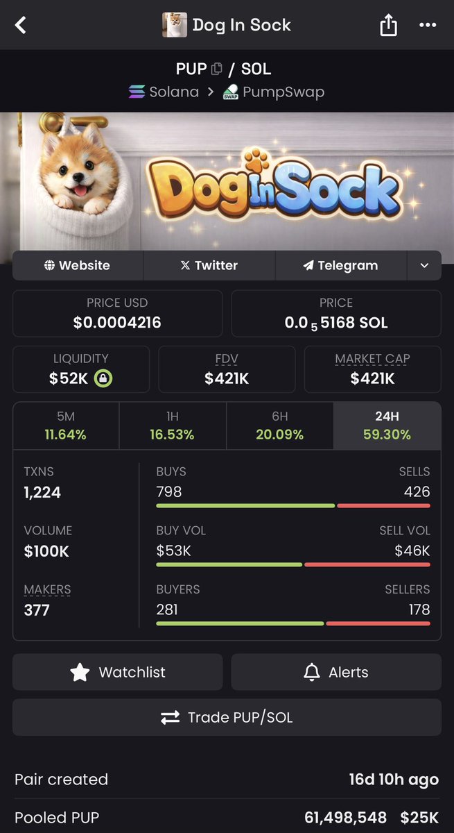 Doginsock tweet media