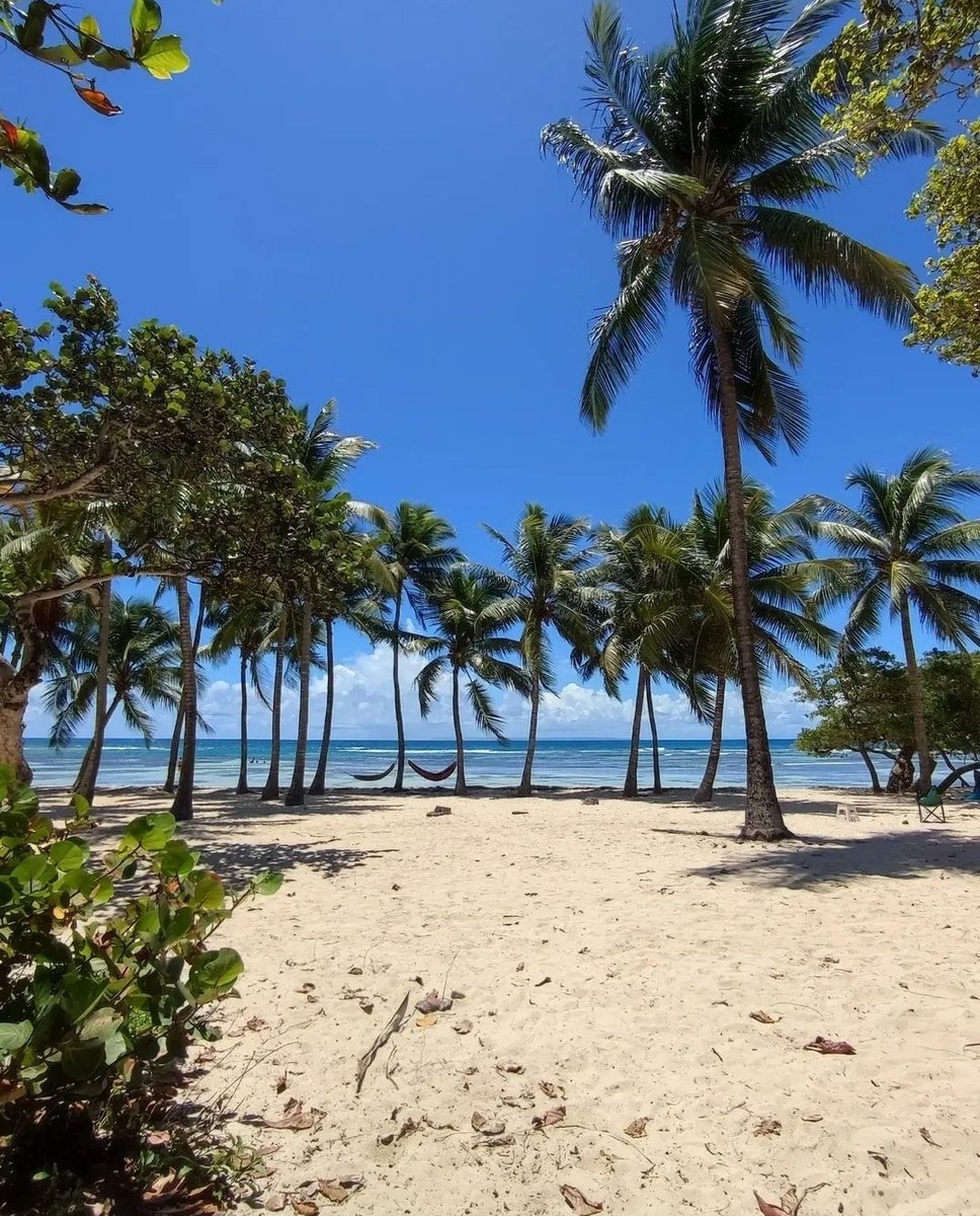 AppartDesign's tweet photo. Guadeloupe https://t.co/XEKpDOa4HF