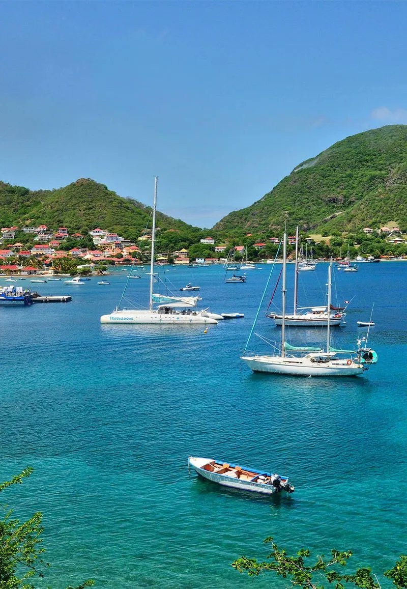 AppartDesign's tweet photo. Guadeloupe https://t.co/XEKpDOa4HF