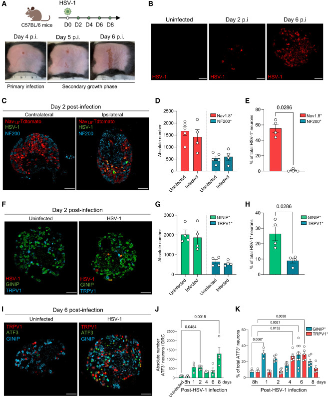 Waggoner Lab tweet media