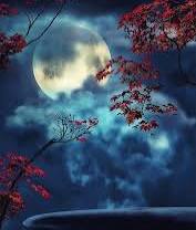 Tunç Aşan tweet media