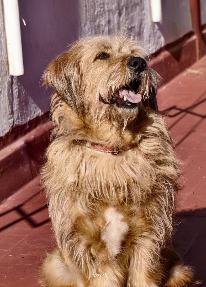 Nairlizi tweet media