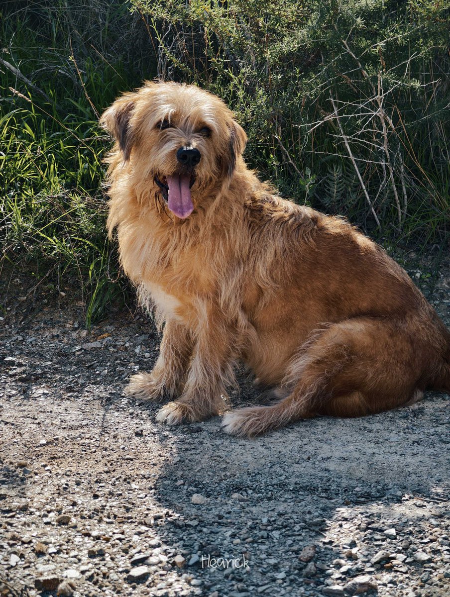 Nairlizi tweet media