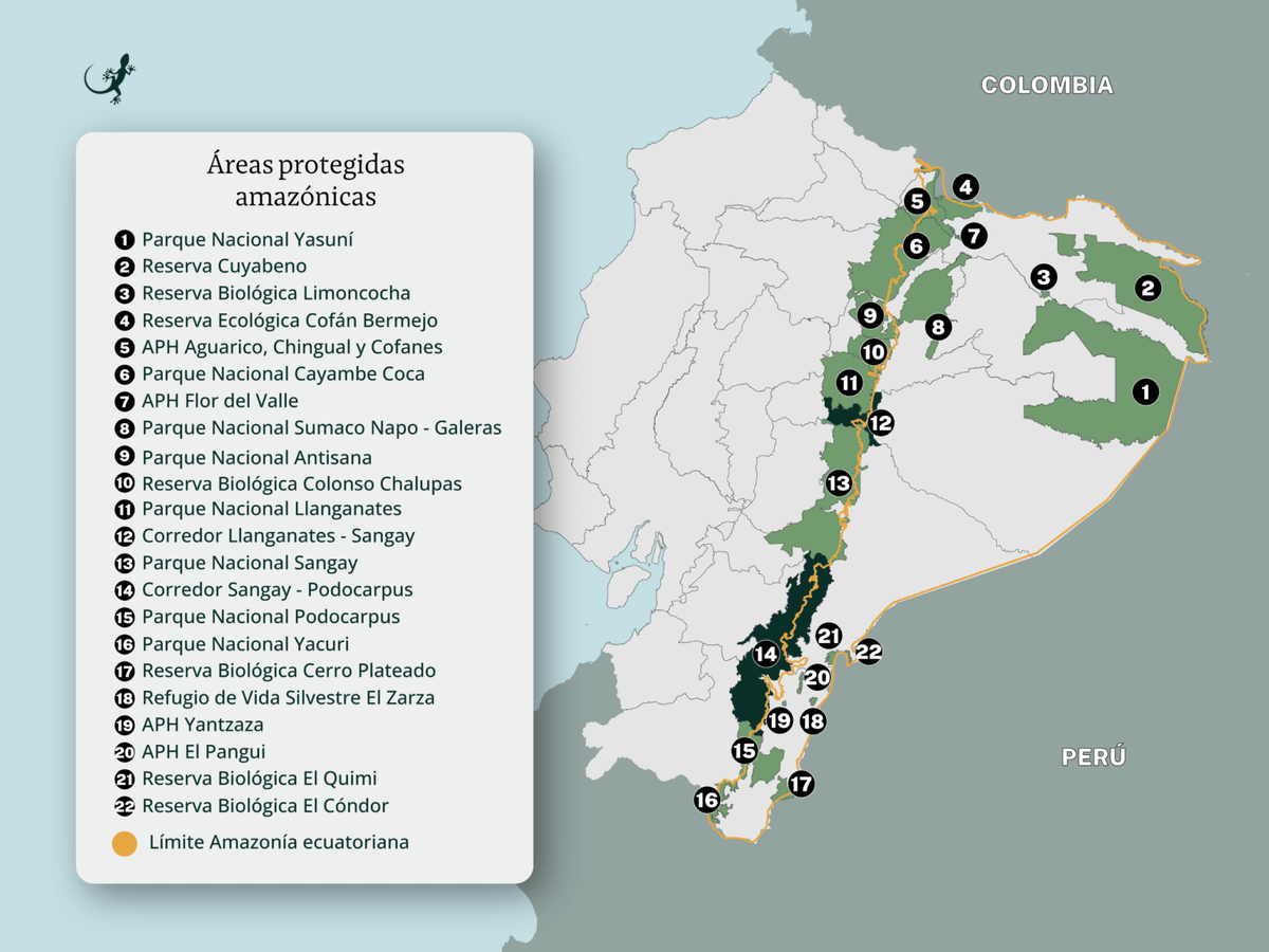 La Barra Espaciadora tweet media