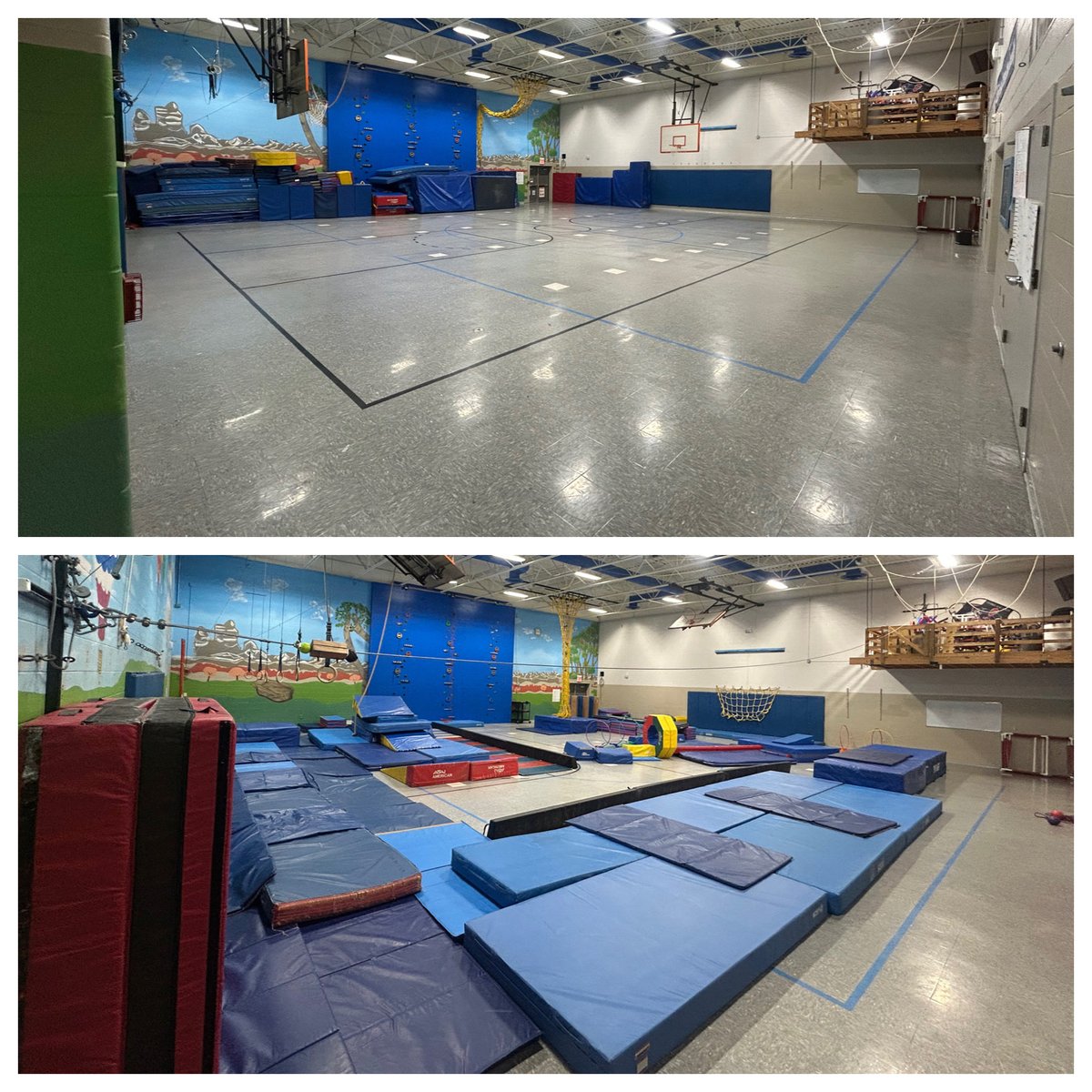 Dan Swallie tweet media