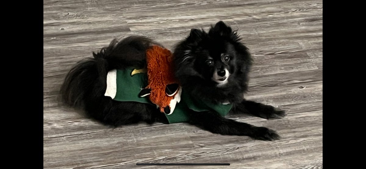 TheCheapest tweet media