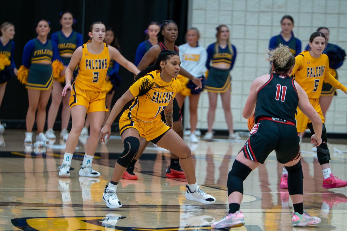 Olivia Chapman tweet media