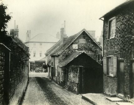 Linda Rollitt tweet media