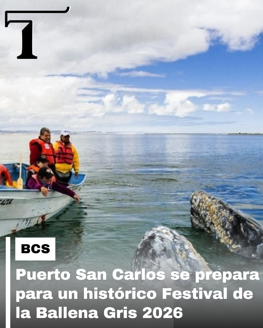 #BCS | Prestadores de servicios y autoridades de Comundú anuncian el inicio del Festival de la Ballena Gris, con una ocupación hotelera que ya alcanza el 100% ¿Qué más se espera de este magnifico evento? Conoce la nota completa aquí: goo.su/ZVqhbzc