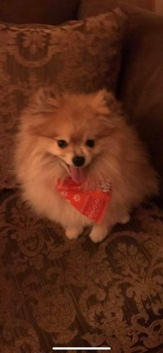 HyperFused tweet media