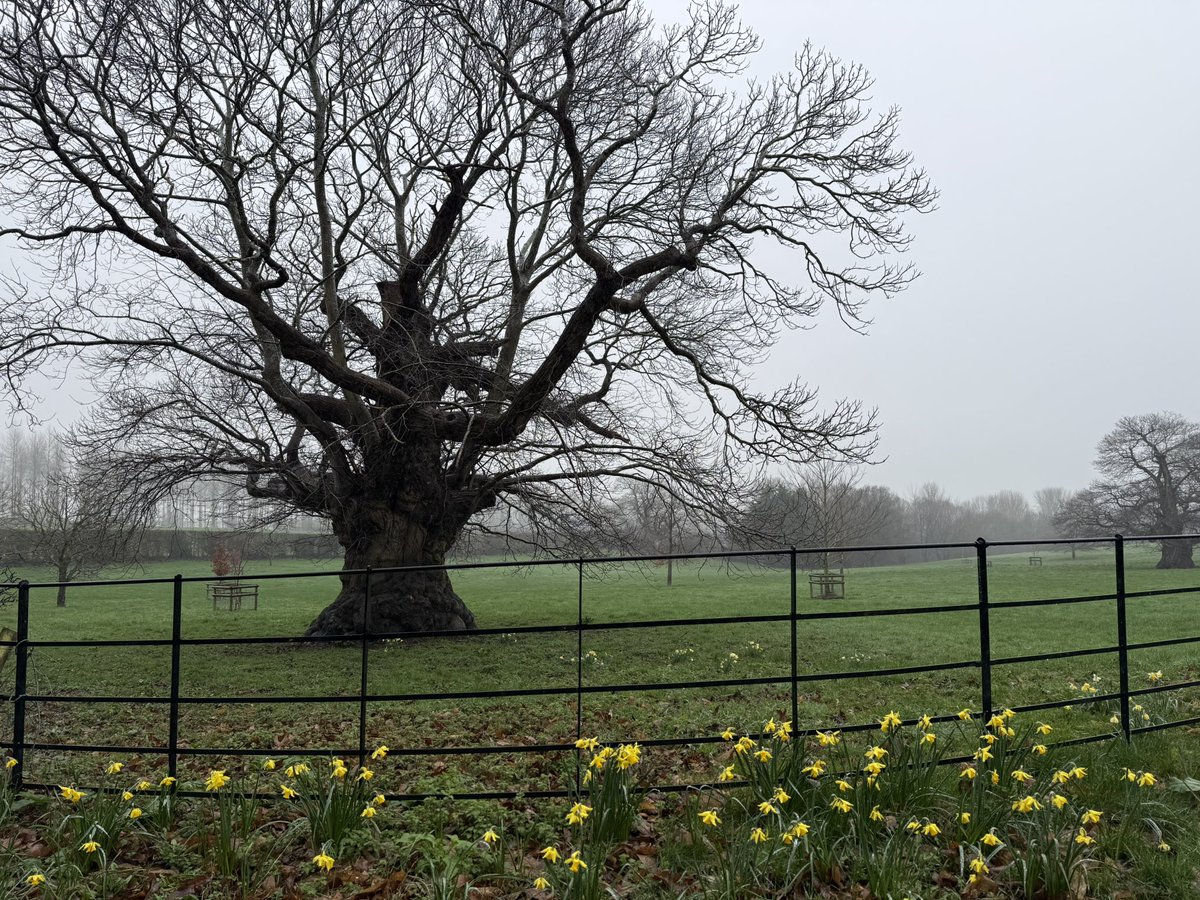 AntSnell's tweet photo. @Shefali_oza You do a great job on @bbcmtd !
I’d love you to pick one of my @bbcweather reports?
This is one I did today! https://t.co/eQSMDx1F5Y