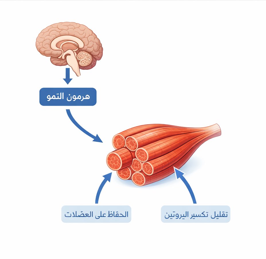 Hussam Alsaleh حسام الصالح tweet media