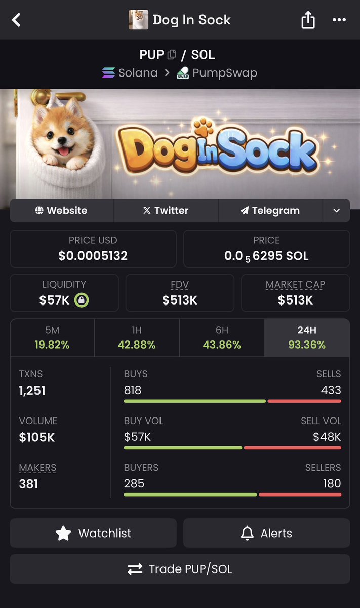 Doginsock tweet media