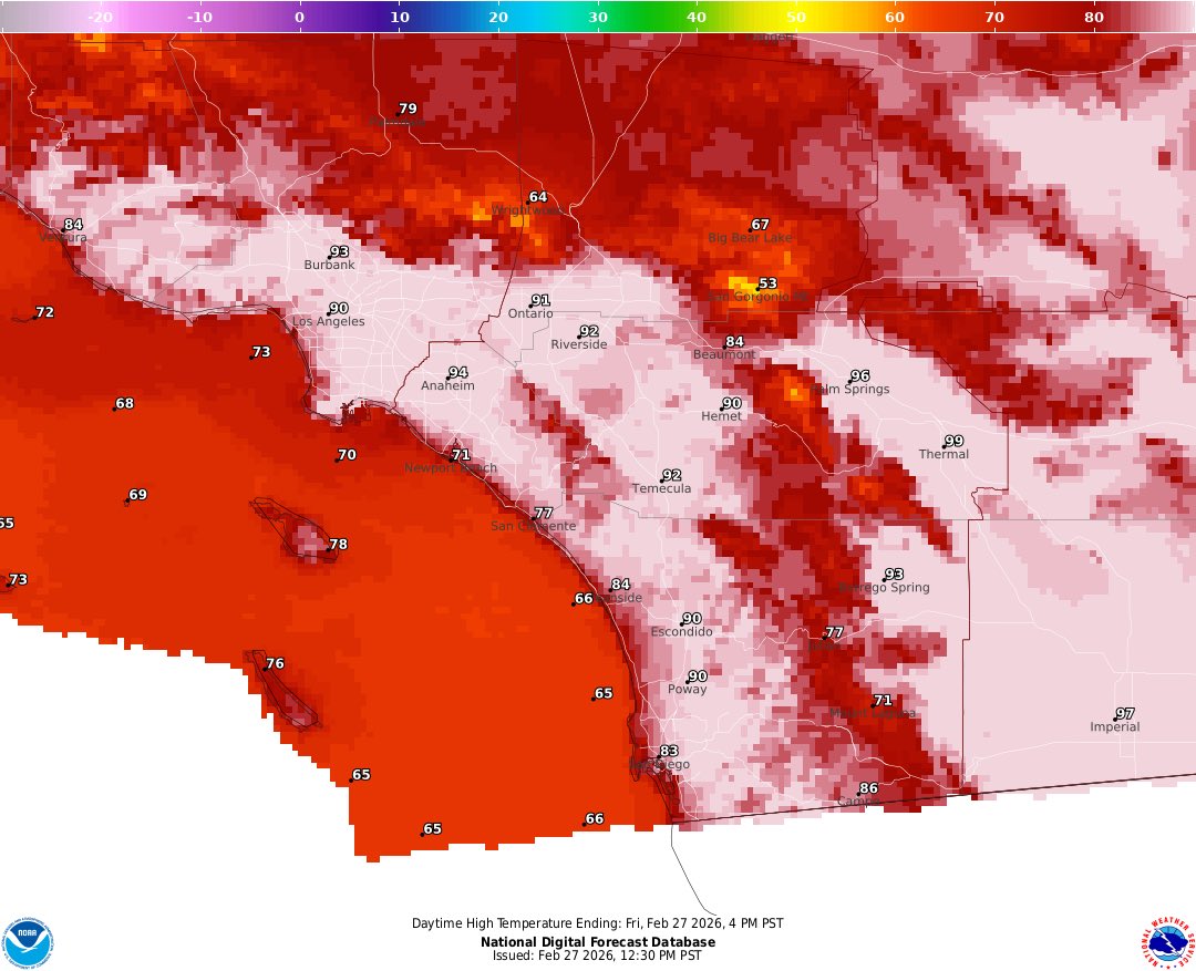 Wesley Morgan tweet media