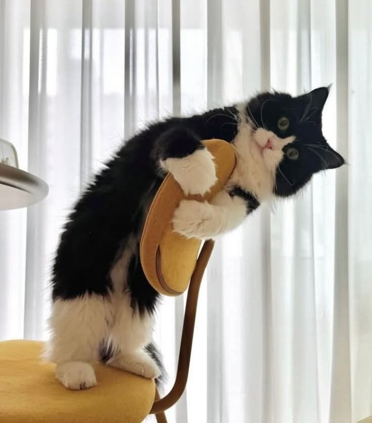 Rob Graham tweet media