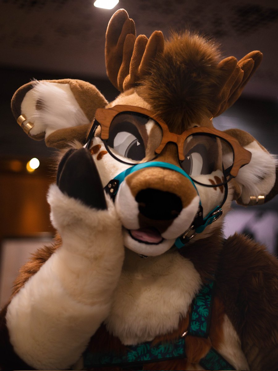 Awwh! Shucks you think I'm cute? 

Stop you'll make me bleat!

#FursuitFriday