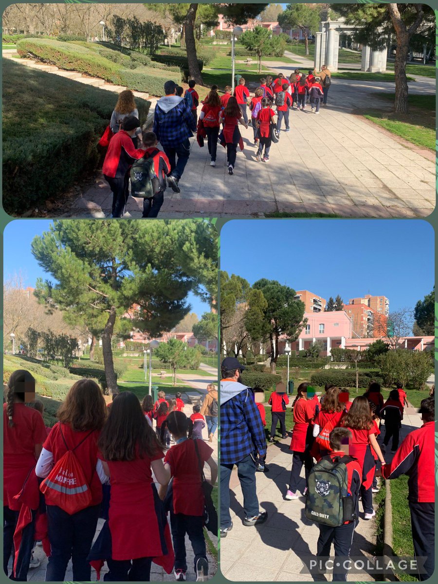 CEIP LUIS CERNUDA tweet media