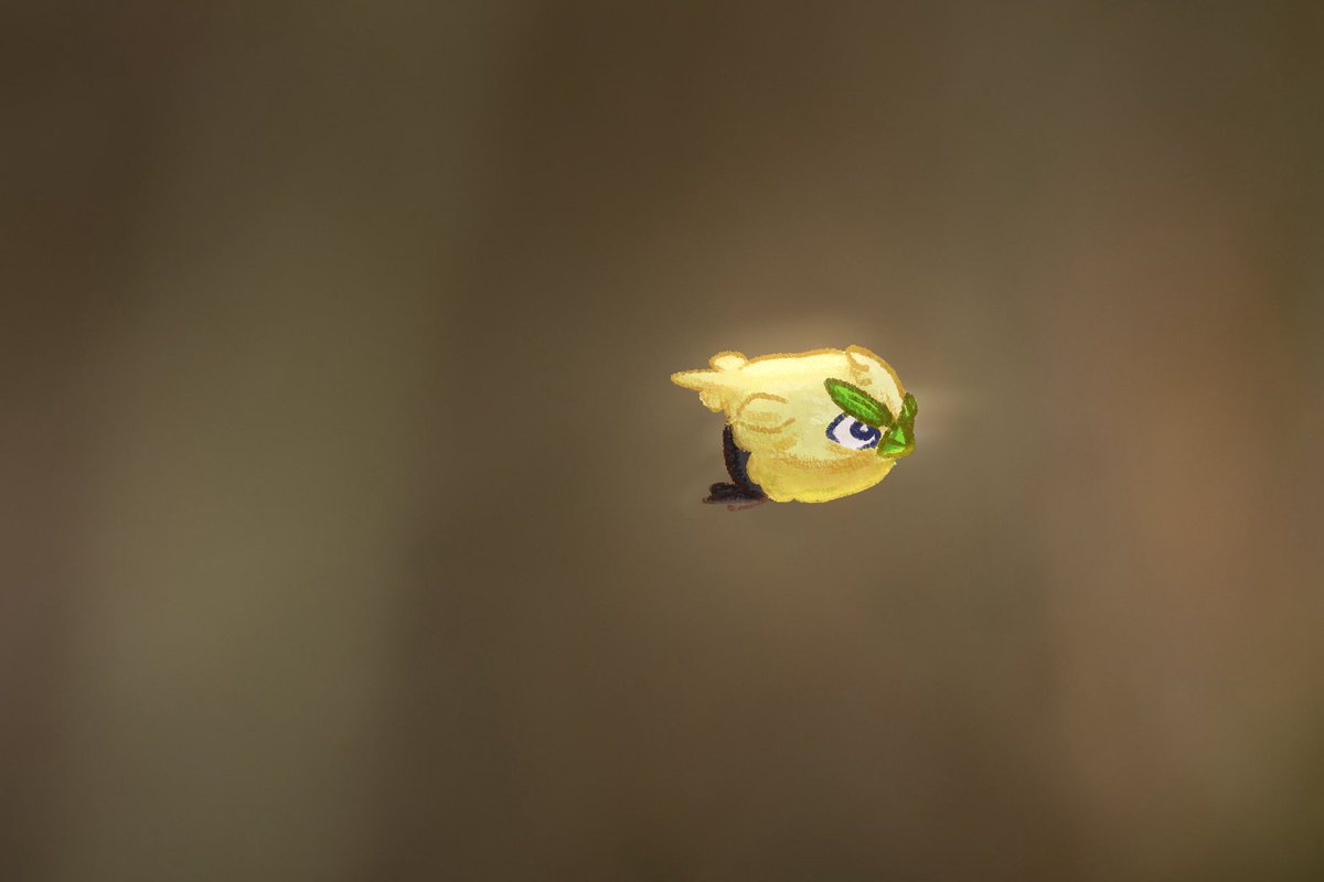 terrace🍎 tweet media