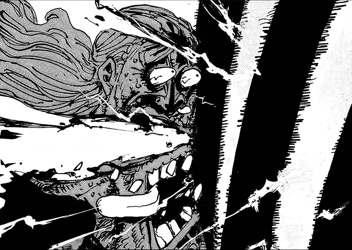 M A J O R E L tweet media