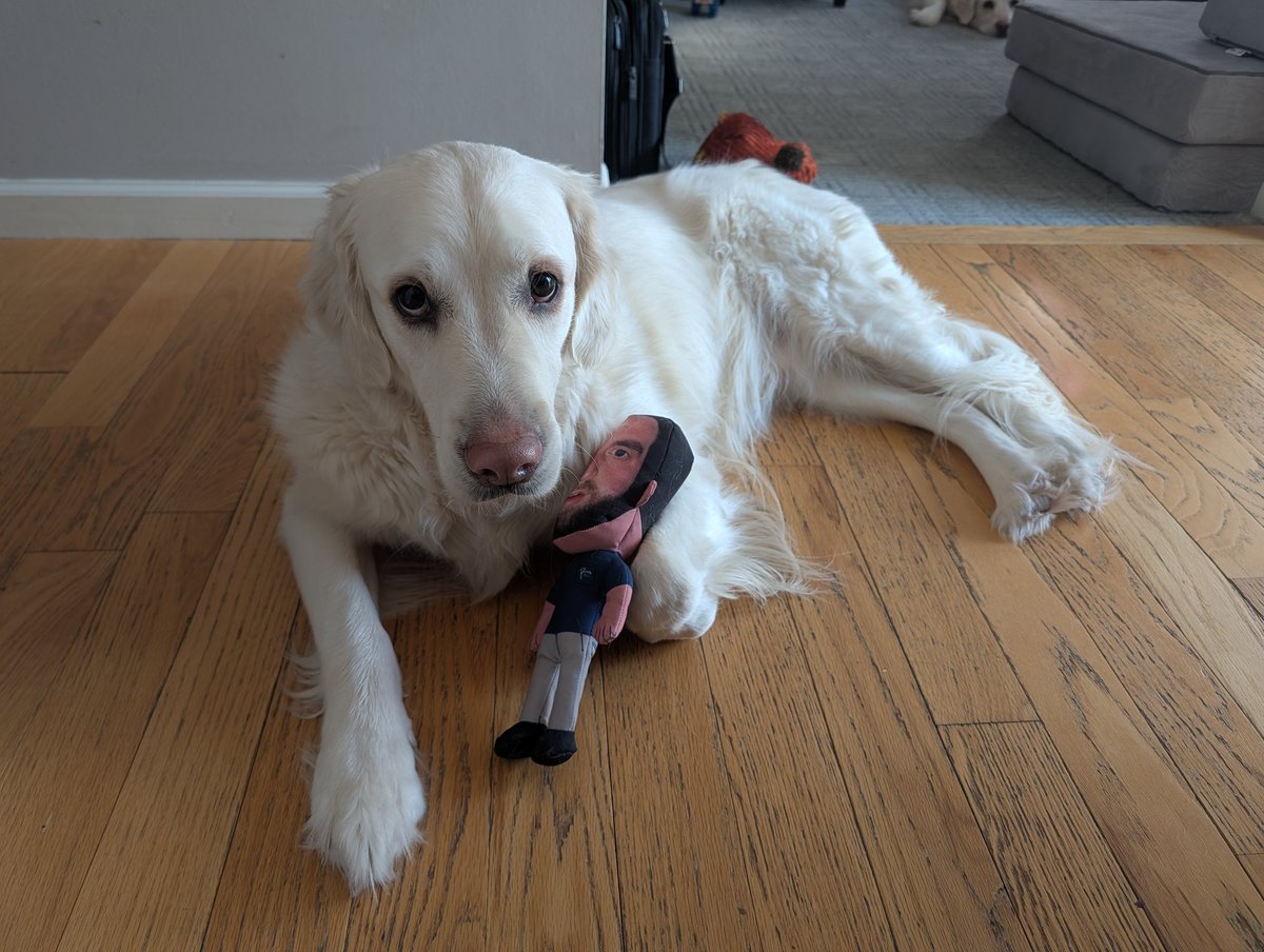 MarcLevandowski's tweet photo. Murphys new best friend @hen_ease @BarstoolBigCat @PFTCommenter @PardonMyTake https://t.co/lXbBDgluXj