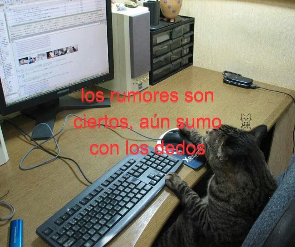 𓆩 luis 𓆪 tweet media