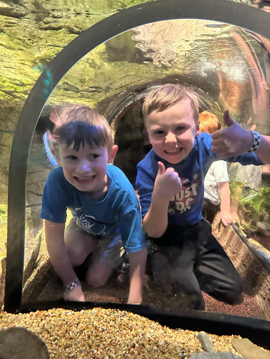 Delanee Brown tweet media