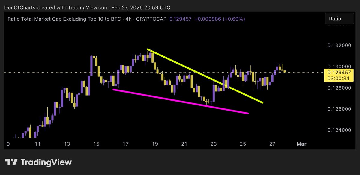 Don 🐂 tweet media