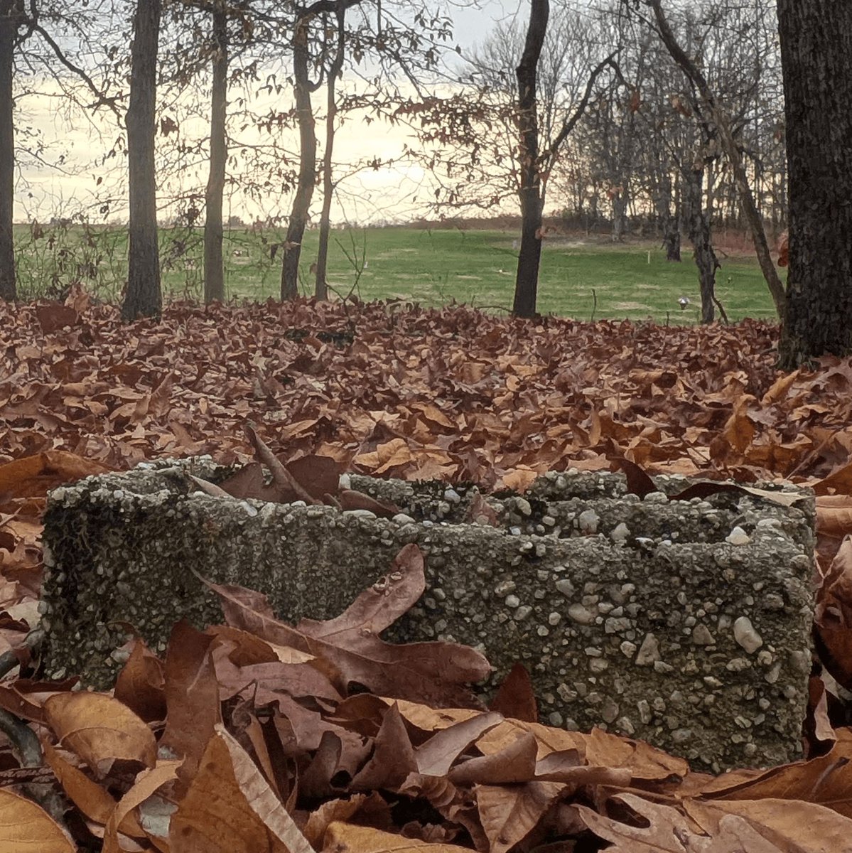 Capital News Service tweet media