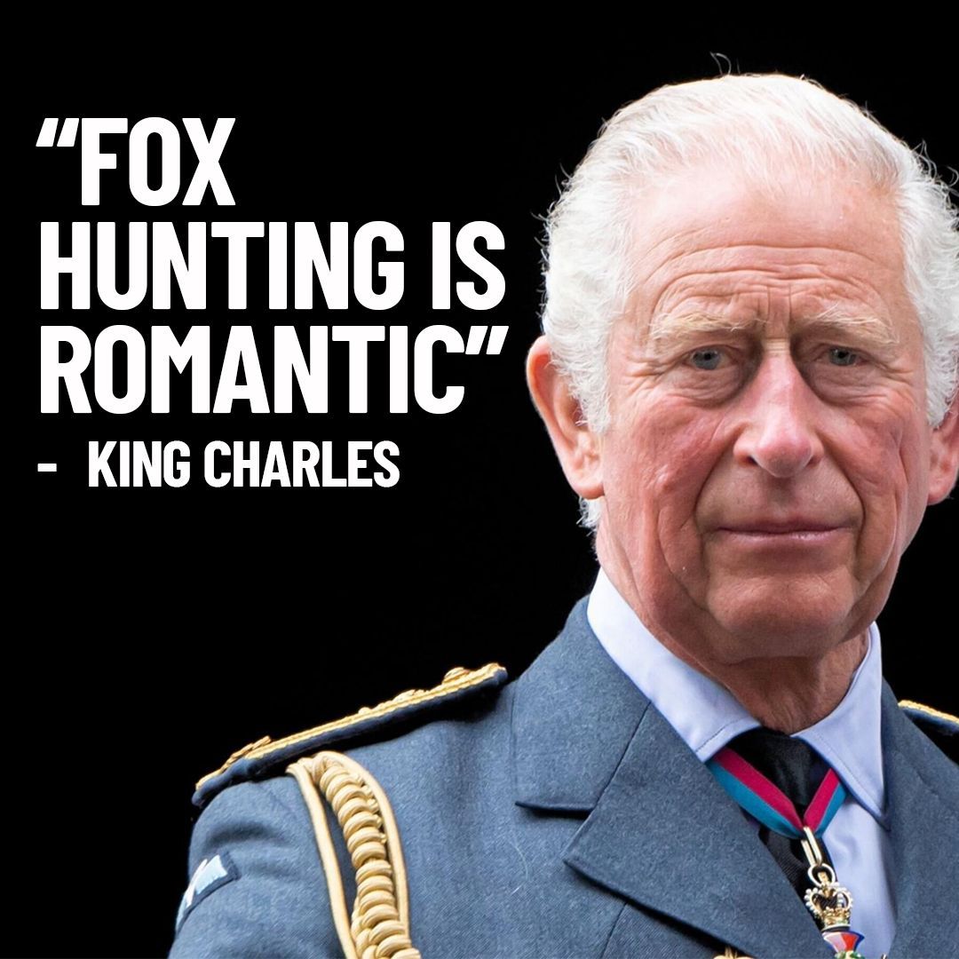 ProtectTheWild_'s tweet photo. No its not Charles, it's sickening! https://t.co/Q7nQSBzhfL