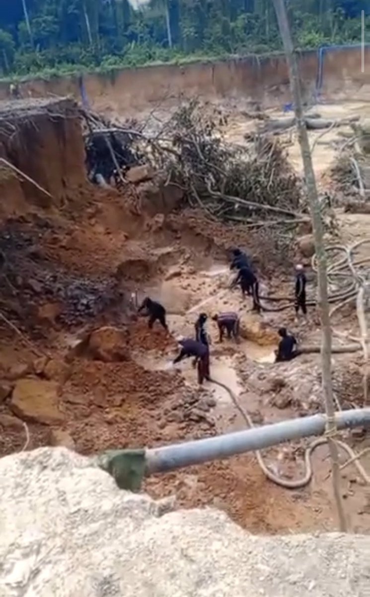 #Atencion #Venezuela 

Continúan llegando motores de alta potencia a las minas auríferas ilegales en #ElDorado #edoBolivar 

¿Y las alcabalas?

La devastación, lejos d disminuir, lamentablemente, se acelera ... 

#SurDelOrinoco #Contaminacion #DevastacionAmbiental 
#OroDeSangre