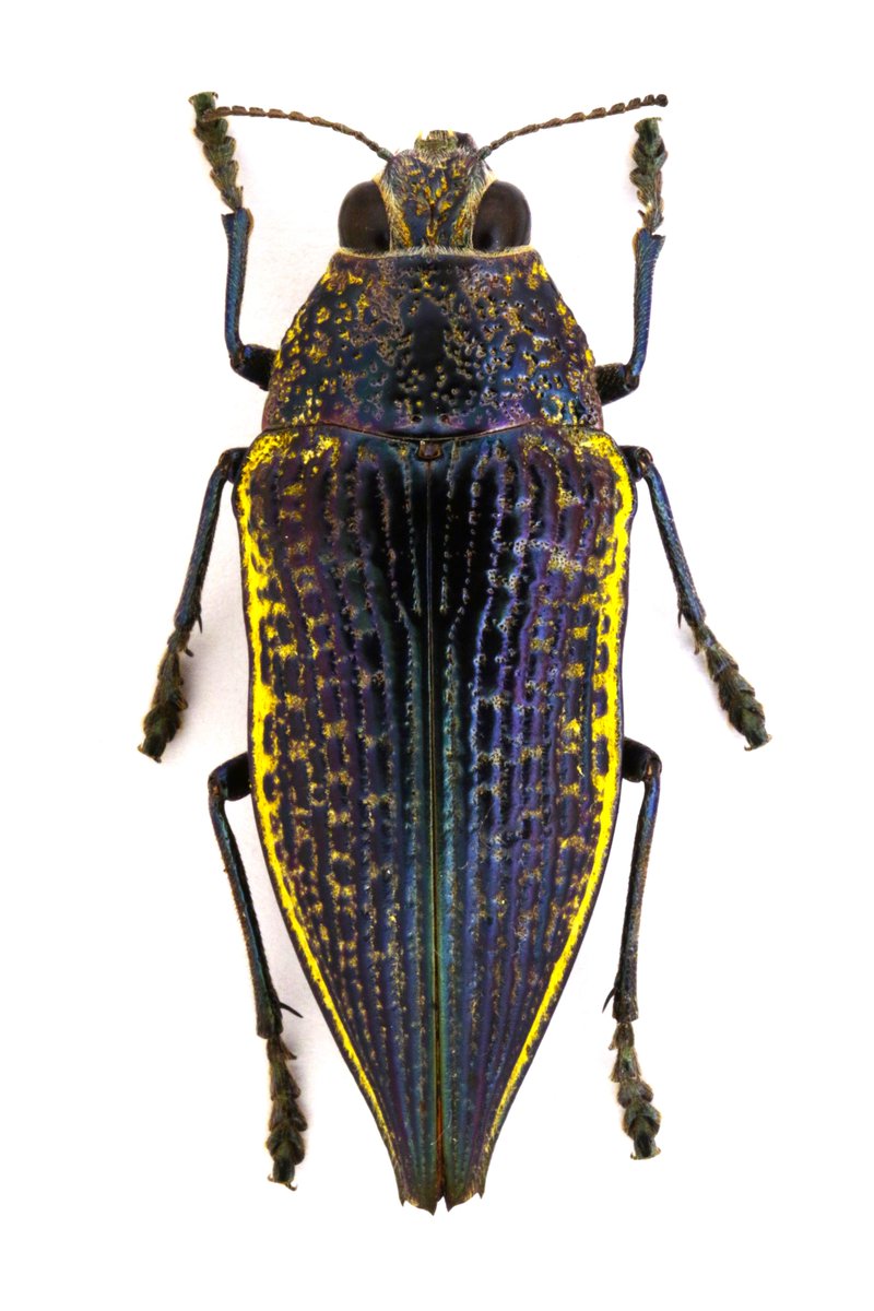 わわwa3 (@jb_wa3) / Posts / X