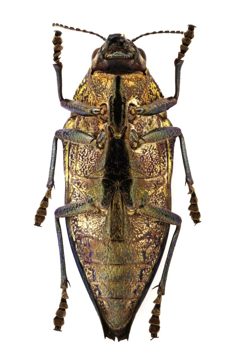 わわwa3 (@jb_wa3) / Posts / X