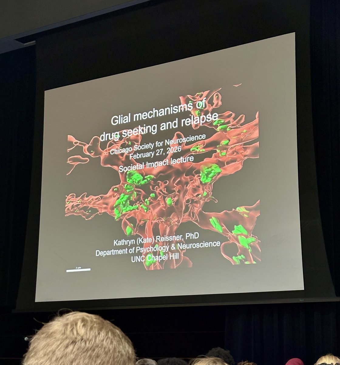 Chicago Chapter - SfN tweet media