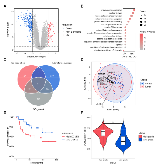 Ruslan Rust tweet media