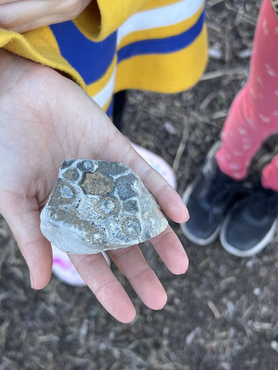 Stacie Bethmann tweet media