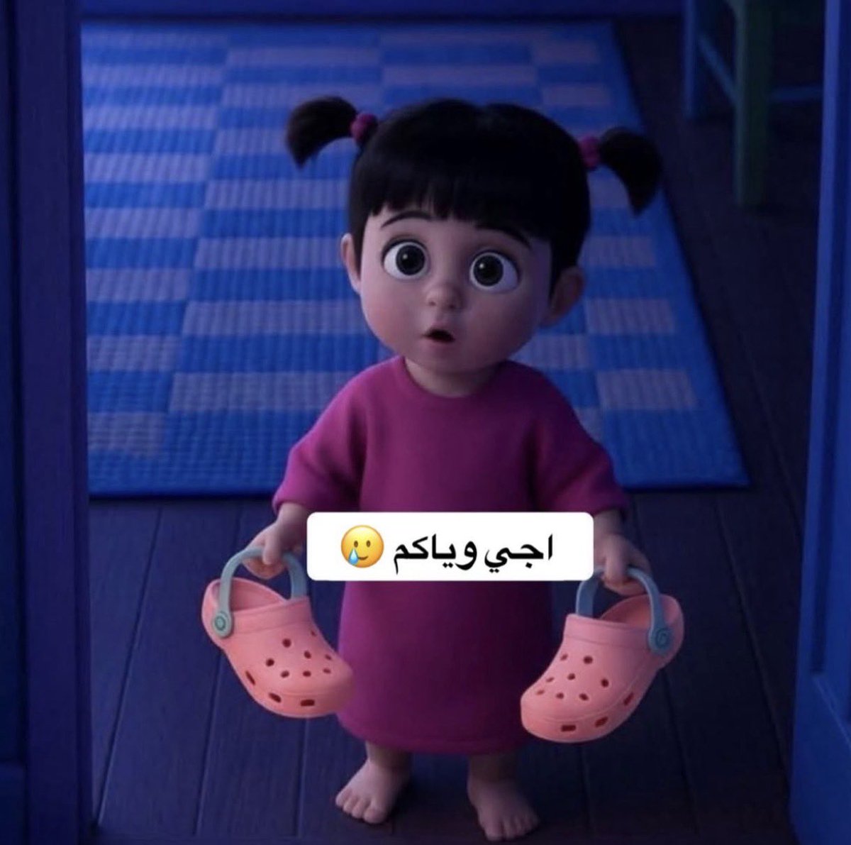 نجمة الجنوب tweet media